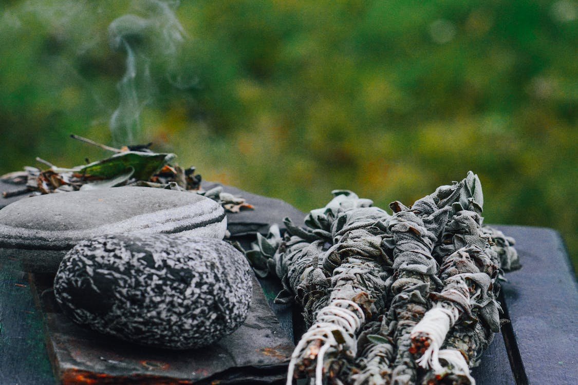 pexels-photo-12347934